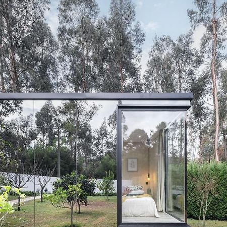 Villa No Jardim Dos Aromas Gião Exteriör bild