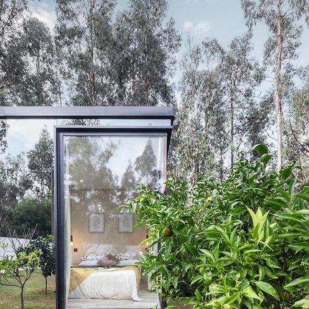 Villa No Jardim Dos Aromas Gião Exteriör bild